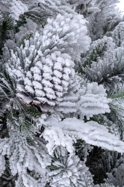 Hot Bizzotto ALBERO ARVES INNEVATO H240-2513RAMI