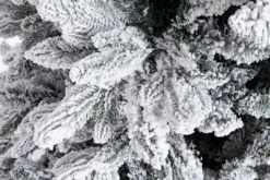 Online Bizzotto ALBERO FREJUS INNEVATO H180-1623RAMI