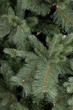 Best Bizzotto ALBERO HUBBARD H240-3096RAMI