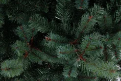 Best Bizzotto ALBERO SERRONE GLAUCO H210-1698RAMI