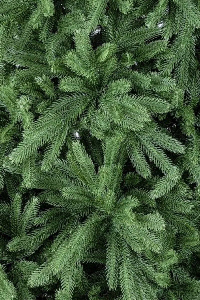 Discount Bizzotto ALBERO TIROLO H210-950RAMI