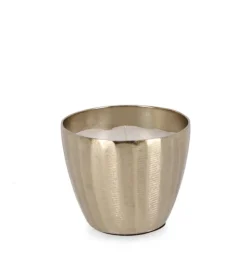 Best Bizzotto CANDELA CHISEL SVAS ORO D9,5