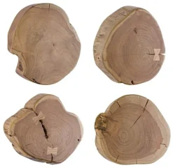 Discount Bizzotto DECORAZIONE PARETE ENEAS ASS4