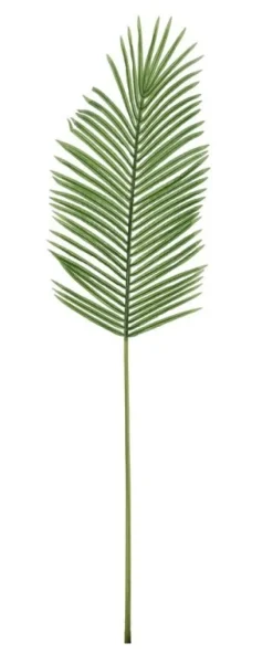New Bizzotto FOGLIA PALMA PHOENIX VERDE H140CM