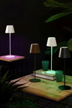 Discount Bizzotto LAMPADA TAV. LED ETNA MARRONE H38