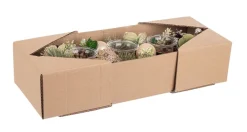 Clearance Bizzotto P.CANDELA 3P AILEEN RETT VERDE-NATURALE