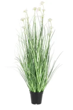 Discount Bizzotto PIANTA ALLIUM C-VASO H90