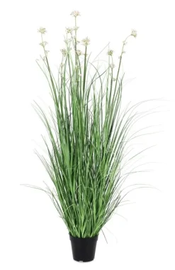 Discount Bizzotto PIANTA ALLIUM C-VASO H110