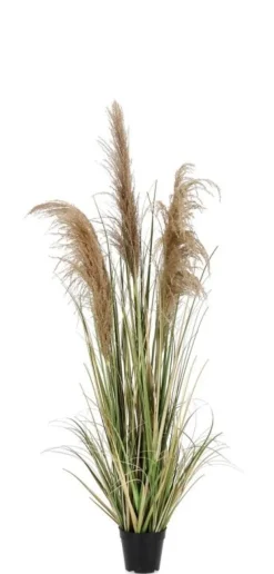 Sale Bizzotto PIANTA AUSTORDERIA PAMPAS C-VASO H145