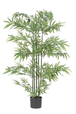 Bizzotto PIANTA BAMBOO C-VASO H150