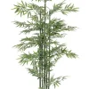 New Bizzotto PIANTA BAMBOO C-VASO H190