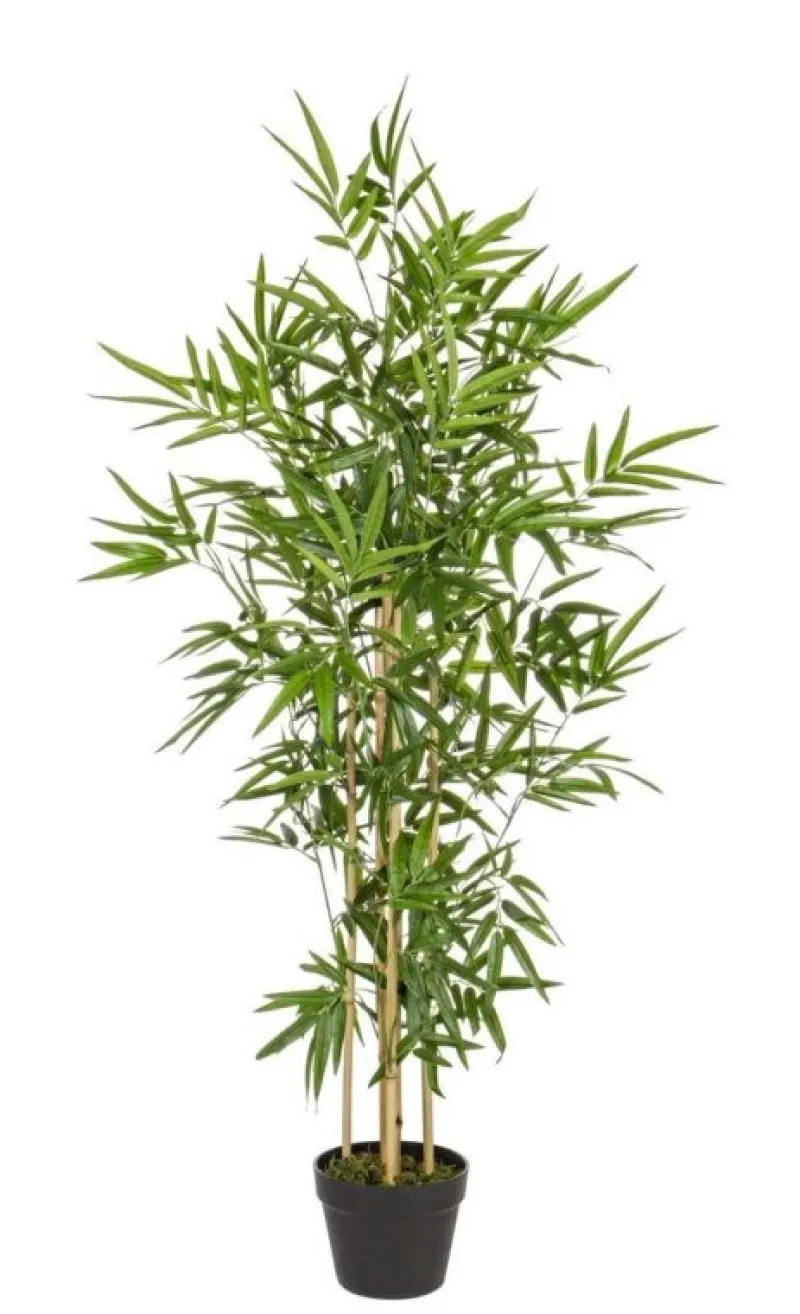 Bizzotto PIANTA BAMBOO C-VASO H130CM