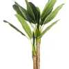 Online Bizzotto PIANTA BANANO C-VASO 14FOGLIE H135