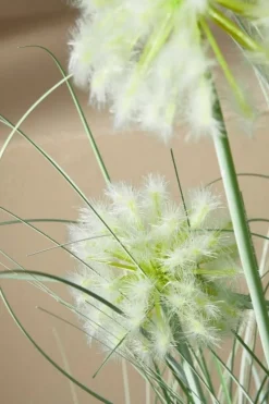 New Bizzotto PIANTA CEBOLLA BIANCO C-VASO X4F H75