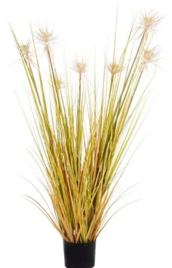 Bizzotto PIANTA DESERTO PAGLIA C-VASO X7F H120