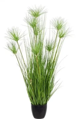 Online Bizzotto PIANTA DESERTO VERDE C-VASO X9F H120