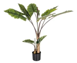 New Bizzotto PIANTA DIEFFENBACHIA C-V 10FOGLIE H134