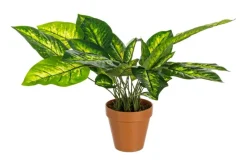 New Bizzotto PIANTA DIEFFENBACHIA C-VASO 30FOGLIE H45