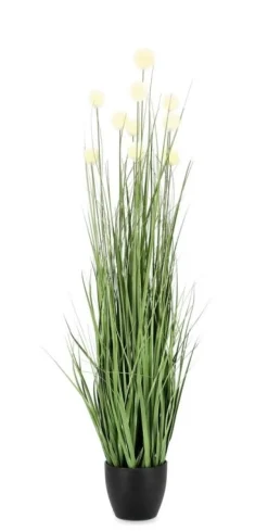 Discount Bizzotto PIANTA ERIOPHORUM BIANC C-VASO X10F H110