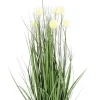 Discount Bizzotto PIANTA ERIOPHORUM BIANCO C-VASO X7F H68