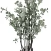 Clearance Bizzotto PIANTA EUCALIPTO C-VASO H110