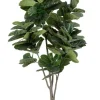 Best Bizzotto PIANTA FICUS LYRATA C-VAS 123FOGLIE H230