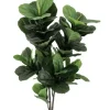 Bizzotto PIANTA FICUS LYRATA C-VASO 72FOGLIE H120