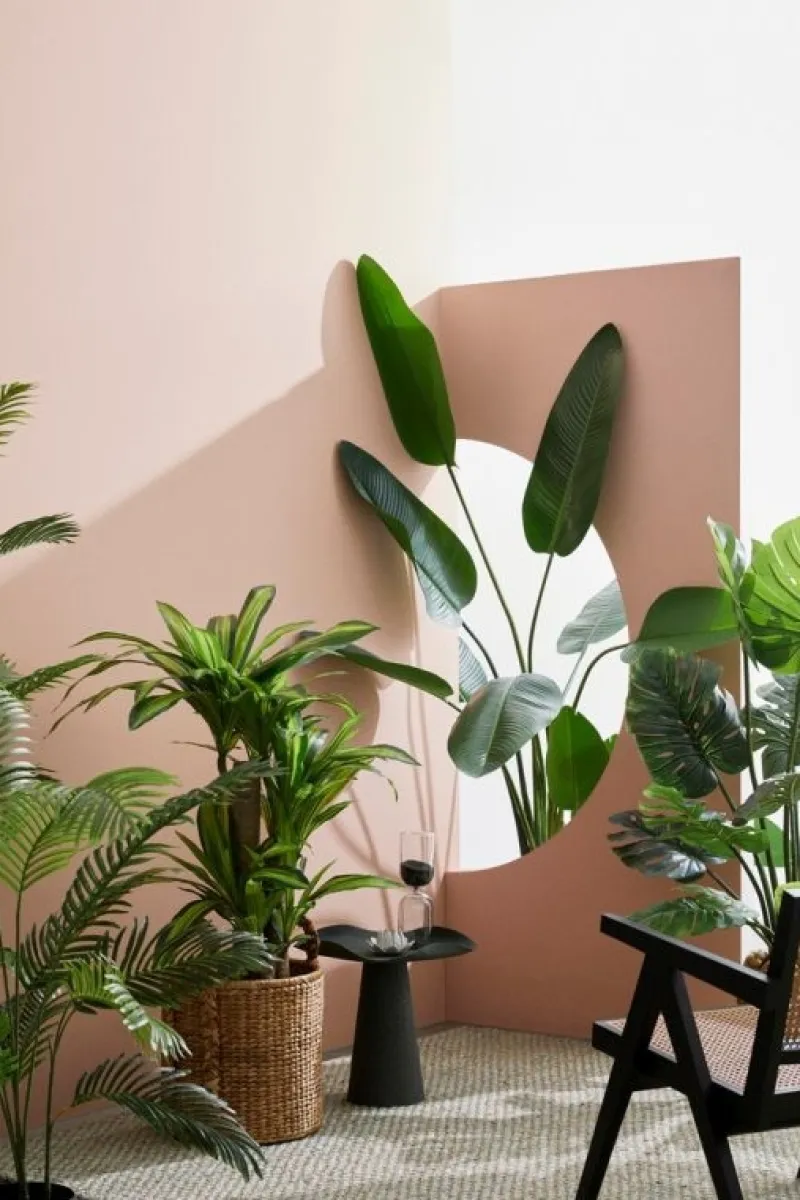 Bizzotto PIANTA FILODENDRO C-VASO 23FOGLIE H120CM