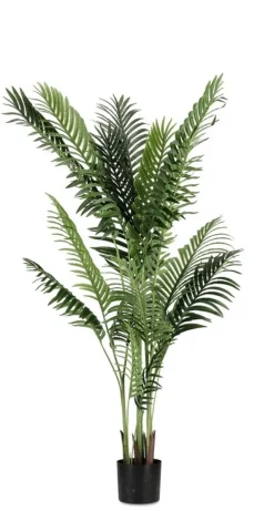 New Bizzotto PIANTA KENZIA C-VASO 17FOGLIE H160