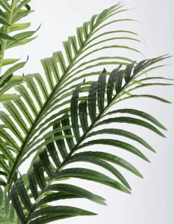 New Bizzotto PIANTA KENZIA C-VASO 17FOGLIE H160