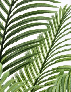 Discount Bizzotto PIANTA KENZIA C-VASO 15FOGLIE H140