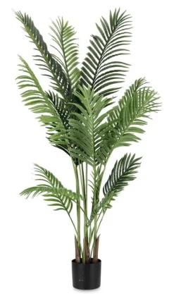 Discount Bizzotto PIANTA KENZIA C-VASO 15FOGLIE H140