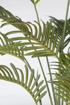 Sale Bizzotto PIANTA KENZIA C-VASO 14FOGLIE H120