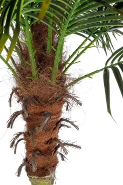 Hot Bizzotto PIANTA PALMA C-VASO 18FOGLIE H210