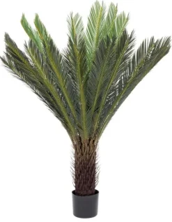 Discount Bizzotto PIANTA PALMA CYCAS C-VASO 28FOGLIE H120