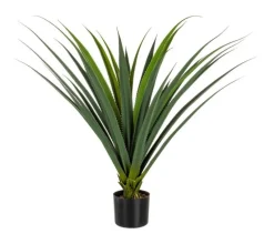Bizzotto PIANTA RUSCACEAE C-VASO 28FOGLIE H90CM