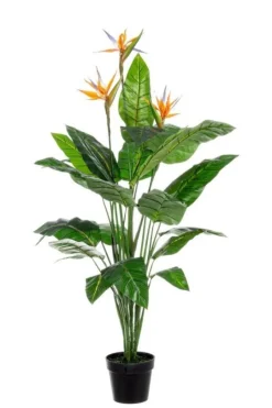 Bizzotto PIANTA STERLITZIA C-V 25FOGLIE X3F H150