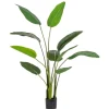 Online Bizzotto PIANTA STRELITZIA C-VASO 10FOGLIE H150
