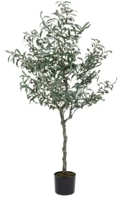 New Bizzotto PIANTA ULIVO C-VASO 984FOGLIE H156