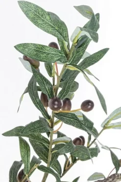 New Bizzotto PIANTA ULIVO C-VASO 984FOGLIE H156