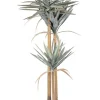 Discount Bizzotto PIANTA YUCCA C-VASO 120FOGLIE H152