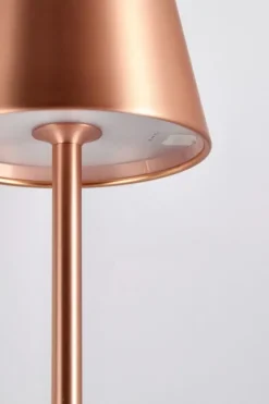 Sale Bizzotto PIANTANA LED ETNA BRONZO H115