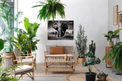 Outlet Bizzotto POLTRONA IN FIBRE NATURALI CON CUSCINO - TARIFA