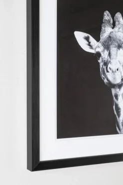 Outlet Bizzotto QUADRO C-C EVIDENCE 107 49X49