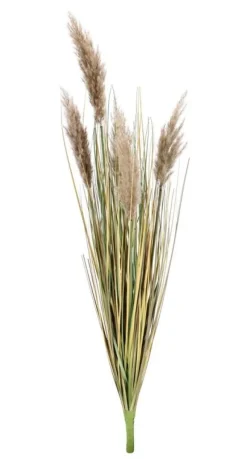 Discount Bizzotto RAMO GYNERIUM PAMPAS H100