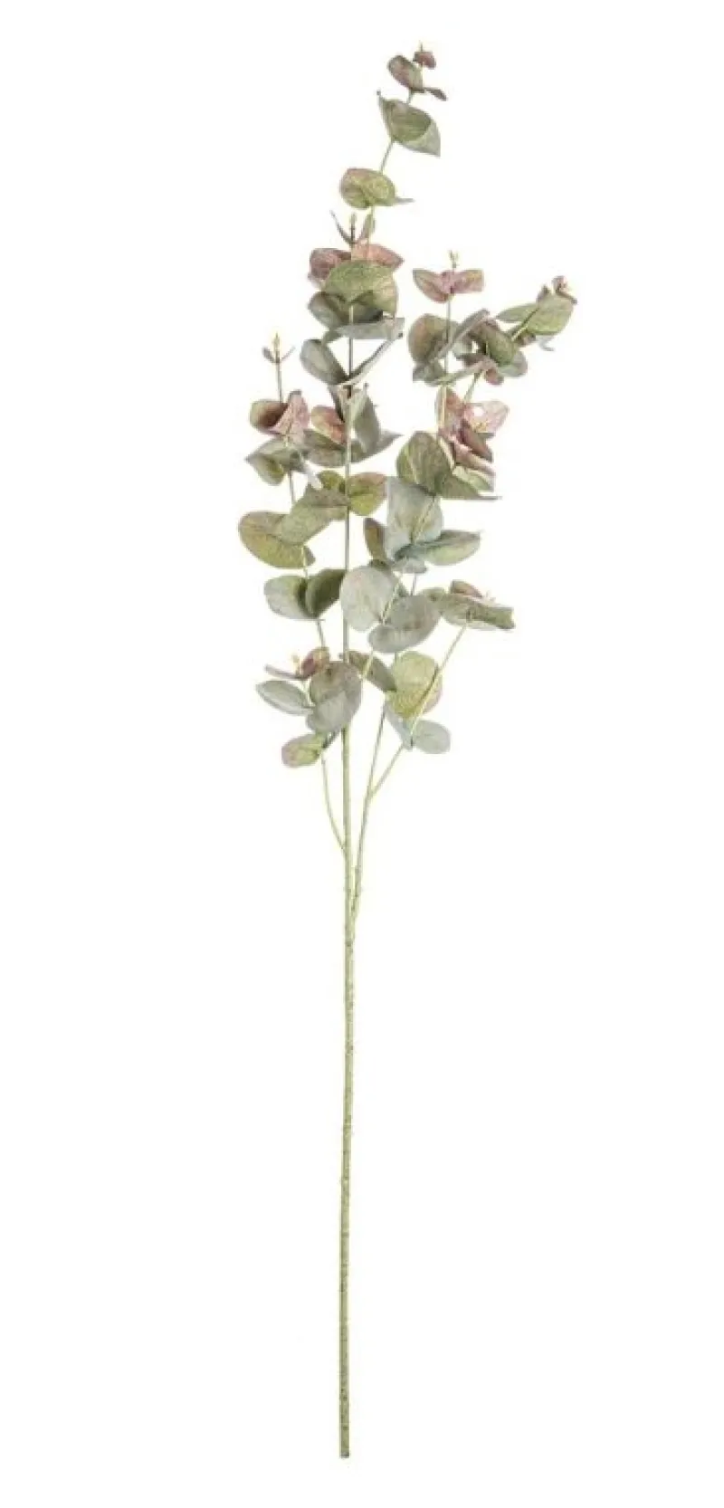 Hot Bizzotto RAMO LITTY EUCALIPTO VERDE VINACCIA H93